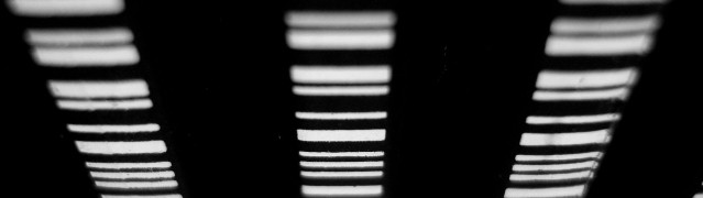 black_5_1920x540